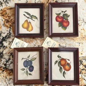 4 pc set of THEOREMS by Sandra Jean Coldren. Velvet painting. 4 FRUITS.